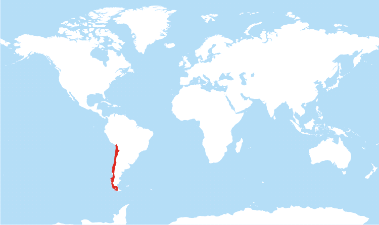 Where is Chile on the World Map?